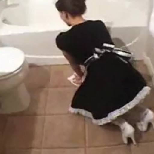 Fucking the maid in the bathroom
