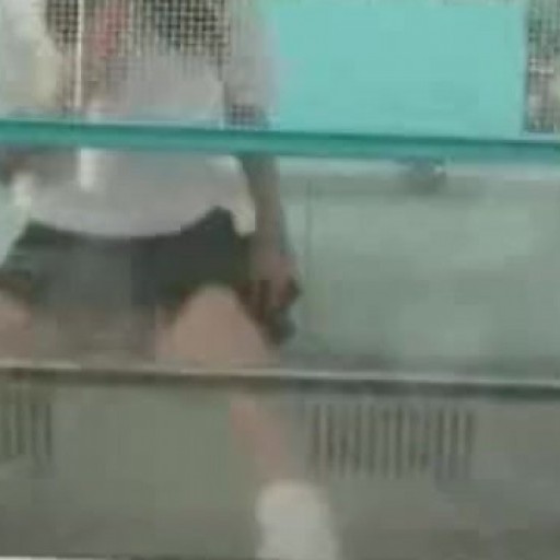 Public Nudity- (Masturbating on the Ferris Wheel)