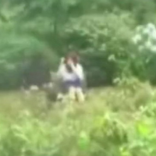 japanese sex in the park