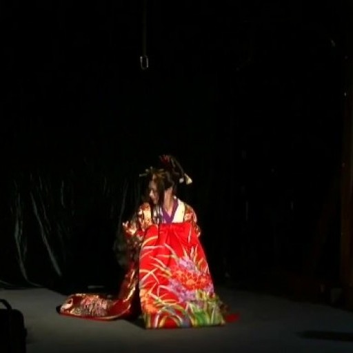 Shibari performance