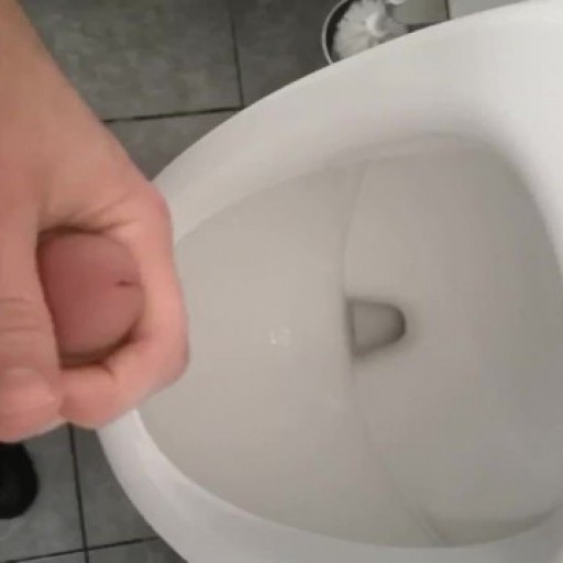 Jerking off in the workplace wc