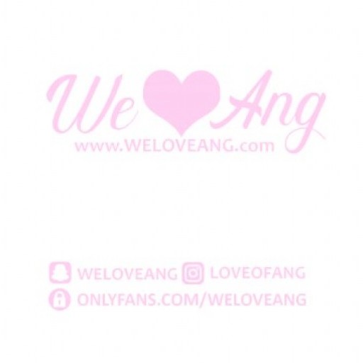 WeLoveAng - Intro