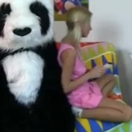 Panda bear in sex toy porn video