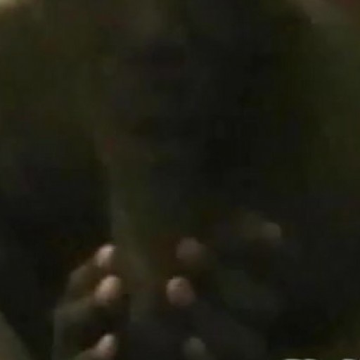 Video of ebony babe sucking hubbys black cock