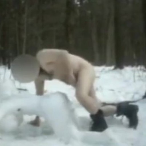 fucking a shemale made out of snow