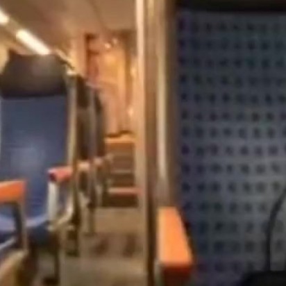 German amateur dildo fucks her butthole on a train