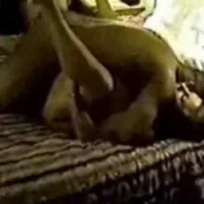 Chubby wife lives out black cock gangbang fantasy