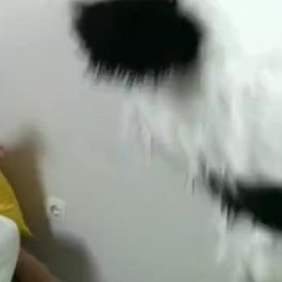 girl sucks a huge black dick toy panda
